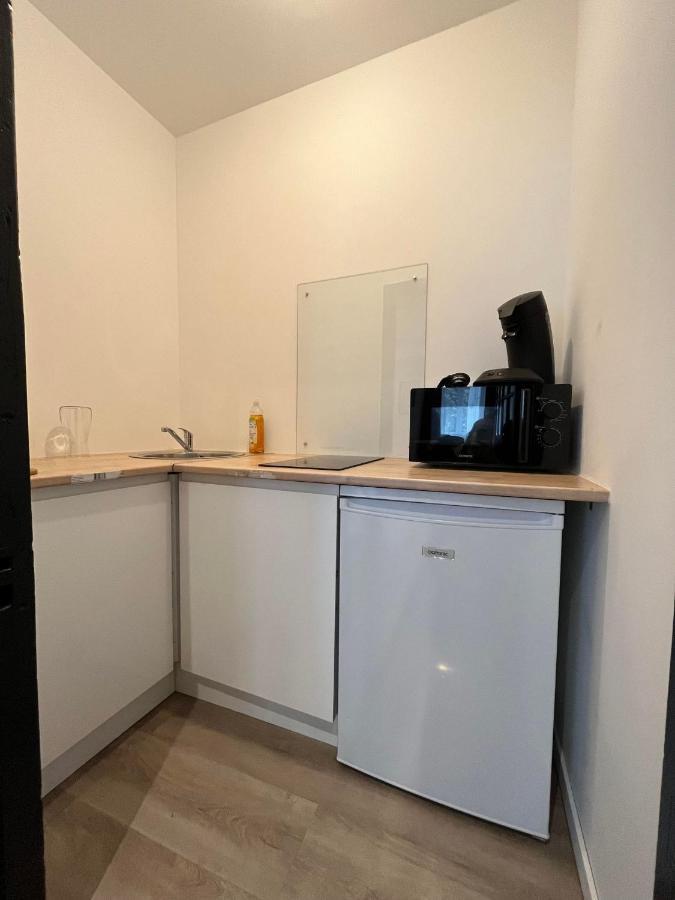 Apartment Elegant Pierre Fabre-t1-wifi-velo *